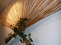 SJS Headquarter 2nd Hand Shop